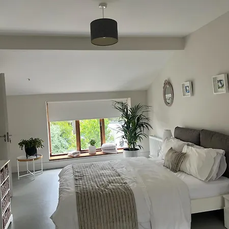 Blue Door Canal House Appartamento Galway