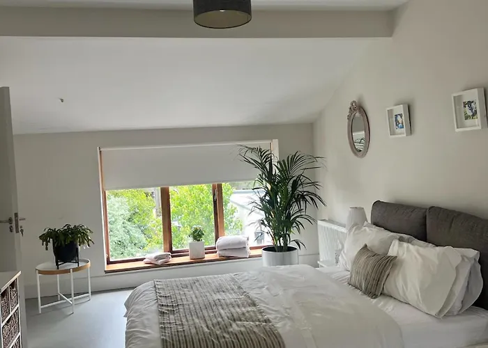 Blue Door Canal House דירה גלוואיי