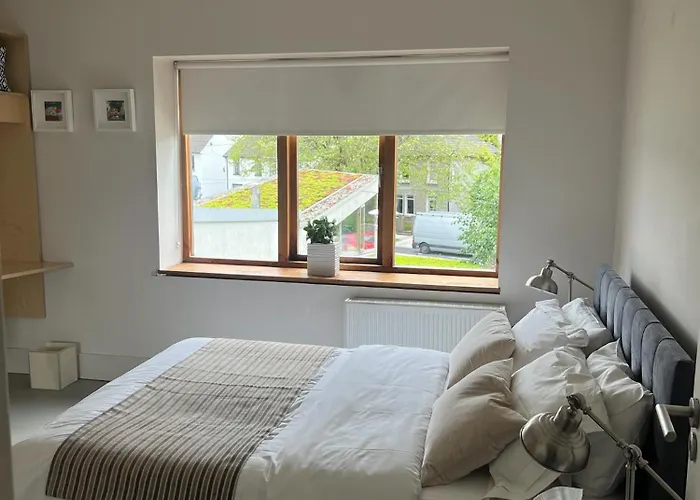 Blue Door Canal House דירה גלוואיי